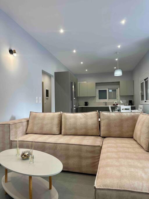 Panagia Mesosporitissa Zouf House 아파트 외부 사진